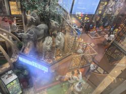 -卡通尼·Safari非洲探索乐园·生日会(金桥国际商业广场店)