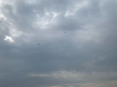 -同里国家湿地公园