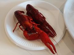 -宜家·瑞典风味餐厅(天津东丽商场店)