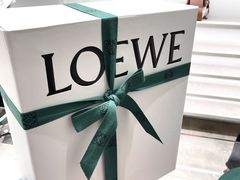 -LOEWE罗意威(万象城店)