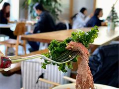 -Green Option(官舍店)