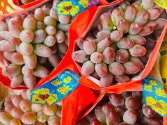 -马陆小张葡萄园农家乐