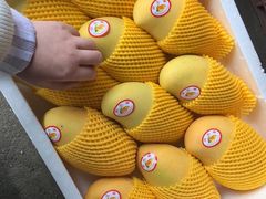 -江杨农产品批发市场