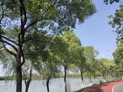 -艾溪湖湿地公园
