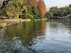-晓港公园