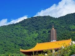 -深圳仙湖植物园