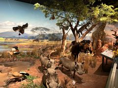 -陕西自然博物馆