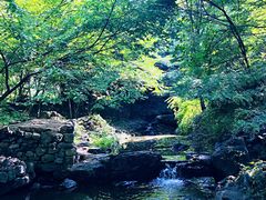 -孤山寨风景区