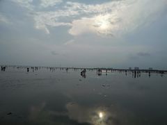 -南汇嘴观海公园