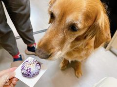 -1013 PET SHOP 宠物商店(近铁城市广场店)