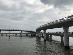 -演武大桥观景平台