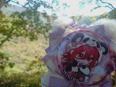 -五女峰国家森林公园