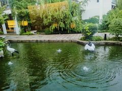 -广富林宰相府酒店·水云间