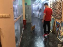 -JOJO实景沉浸侦探剧本杀(大悦城店)