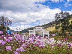 -五台山风景区