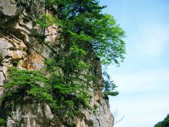 景点-青峰峡国家森林公园