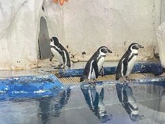 -太平洋海底世界