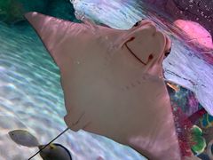 -沈阳海洋探索中心