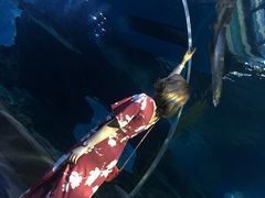 -暹罗海洋世界