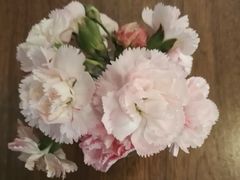 -榖屋house of flour(张江首店)