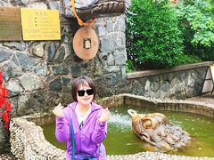 -烟台山景区
