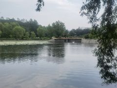 -哈尔滨北方森林动物园