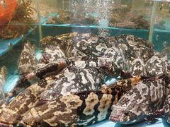 -阿伟海鲜楼·福建菜(延寿店)