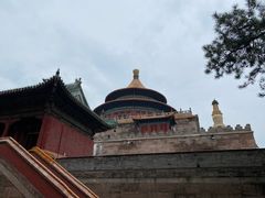-普乐寺