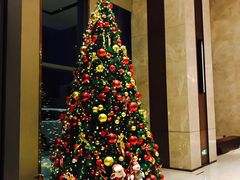 -嘉定凯悦·咖啡厅