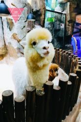 -宝燕乐园(闵行旗舰店)