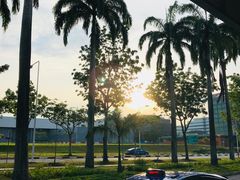 -清真·艾美可餐厅(大悦汇店)