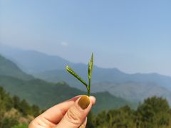 -石台牯牛降景区