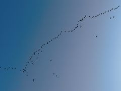 -厦门园林博览苑