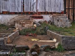 -比如骷髅墙景区