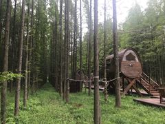 -黄海国家森林公园