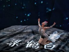 -重庆国际马戏城