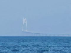 -野狸岛