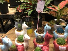 -豆豆花艺(新光天地店)