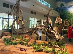 -自贡恐龙博物馆