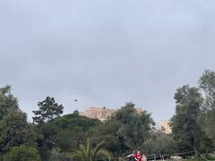 -奥林匹亚宙斯神庙