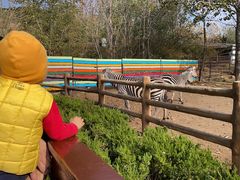 -大连森林动物园