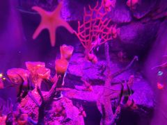 -沈阳海洋探索中心