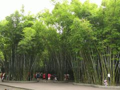 -晓港公园