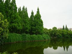 -成都南湖公园
