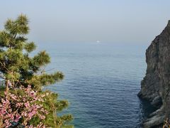 -棒棰岛宾馆景区