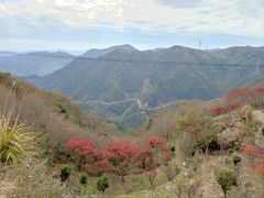 -四明山国家森林公园
