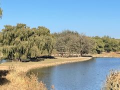 -北京麋鹿生态实验中心