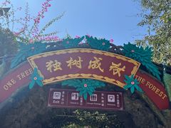 -瑞丽独树成林风景区