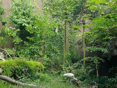 -河川生态园