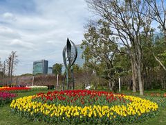 -大宁郁金香公园-停车场